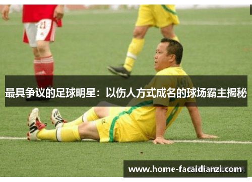 最具争议的足球明星：以伤人方式成名的球场霸主揭秘