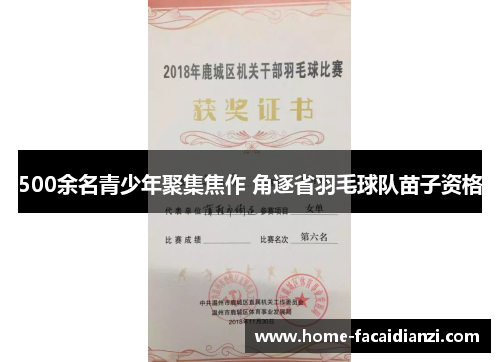 500余名青少年聚集焦作 角逐省羽毛球队苗子资格